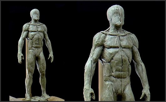 Corpo Masculino - Iremos estudar o corpo humano com foco no masculino.