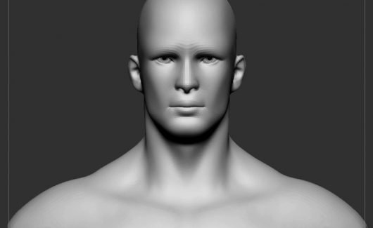 Basemesh -