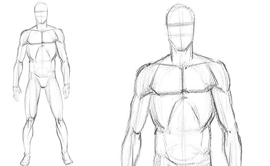 Corpo Masculino - Iremos estudar o corpo humano com foco no masculino.